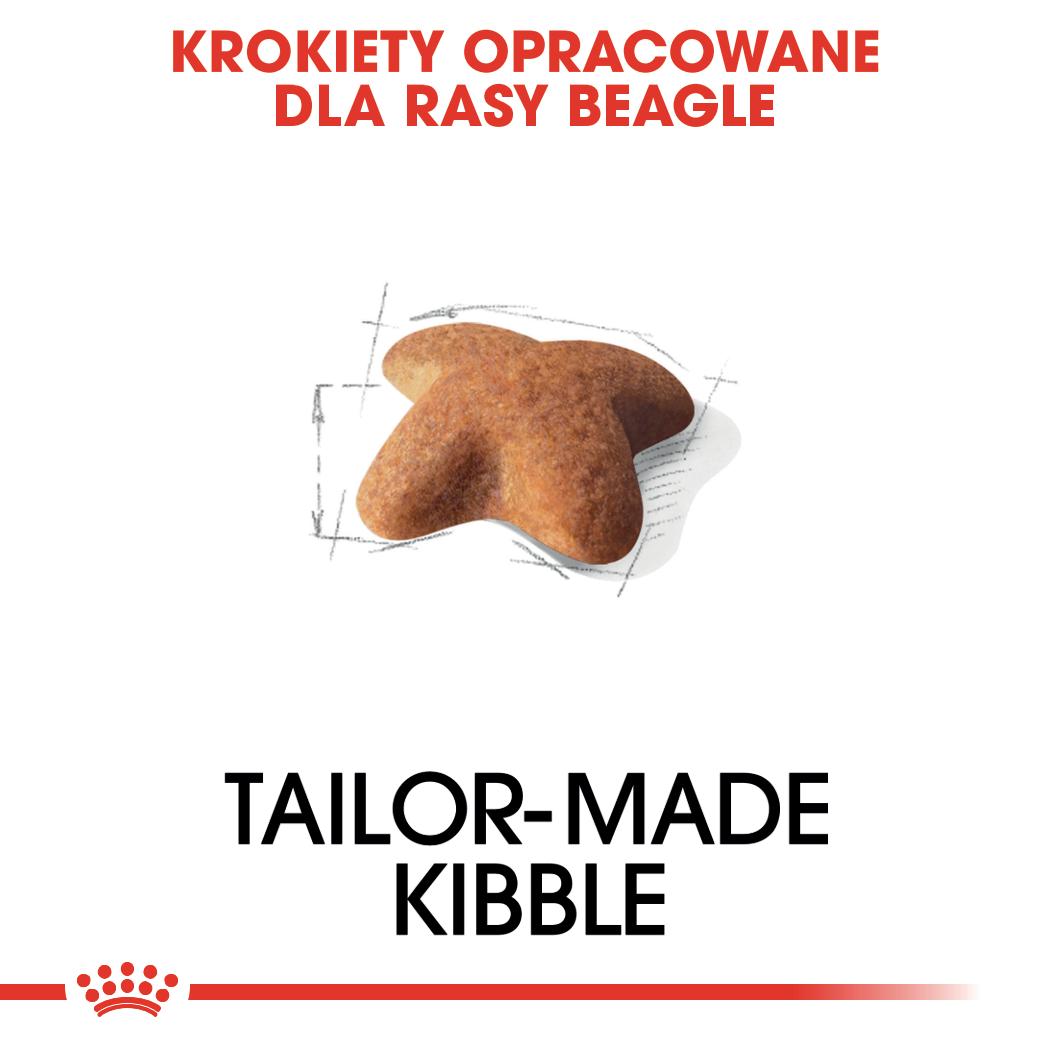ROYAL CANIN® Beagle Adult karma sucha dla psów dorosłych rasy beagle 12 kg - Image 4