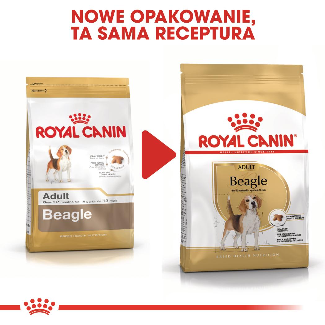 ROYAL CANIN® Beagle Adult karma sucha dla psów dorosłych rasy beagle 12 kg - Image 8