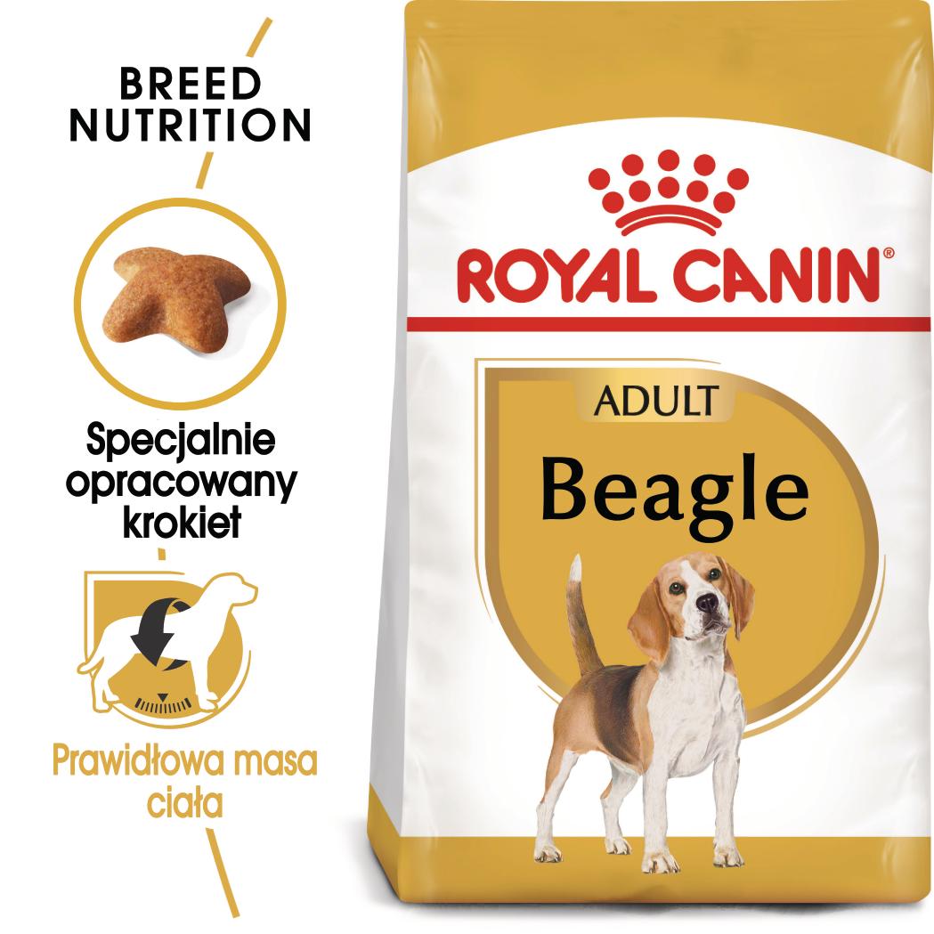 ROYAL CANIN® Beagle Adult karma sucha dla psów dorosłych rasy beagle 12 kg