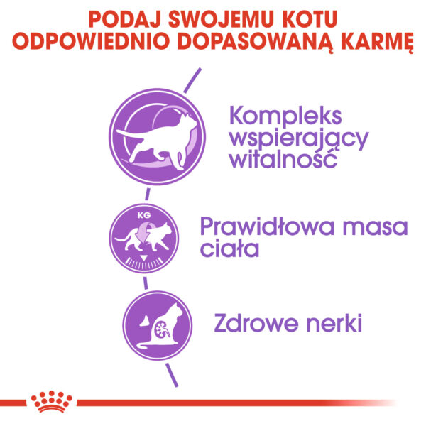 ROYAL CANIN  Sterilised +7 karma sucha dla kotów dorosłych od 7 do 12 roku życia, sterylizowanych - Image 4