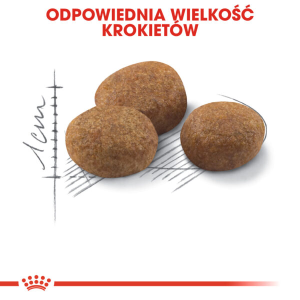 ROYAL CANIN  Sterilised +7 karma sucha dla kotów dorosłych od 7 do 12 roku życia, sterylizowanych - Image 5
