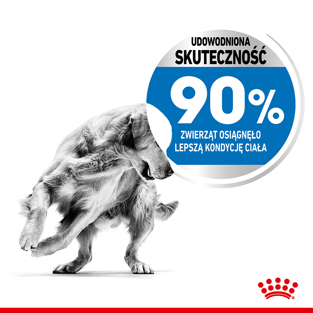 ROYAL CANIN® CCN Maxi Light Care karma sucha dla psów dorosłych - Image 3