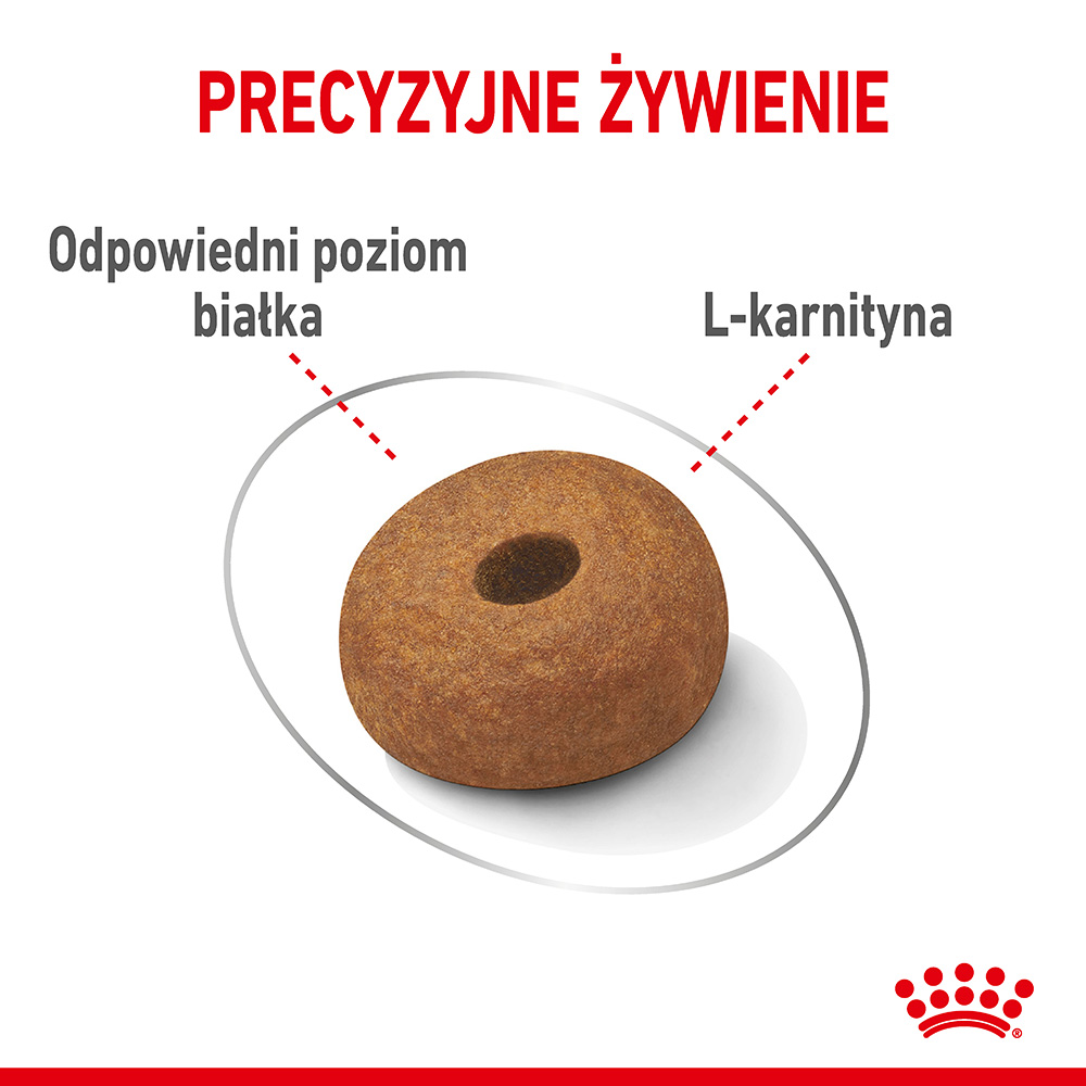 ROYAL CANIN® CCN Maxi Light Care karma sucha dla psów dorosłych - Image 4