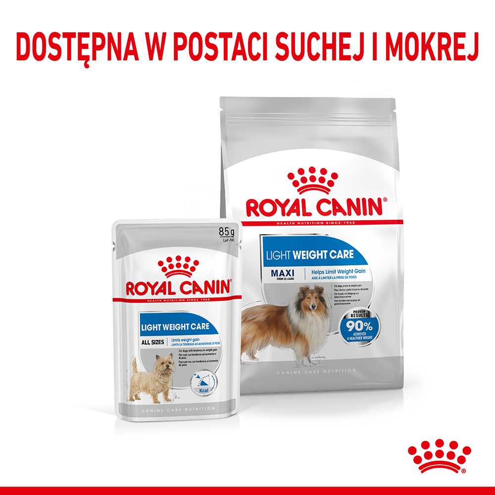 ROYAL CANIN® CCN Maxi Light Care karma sucha dla psów dorosłych - Image 7