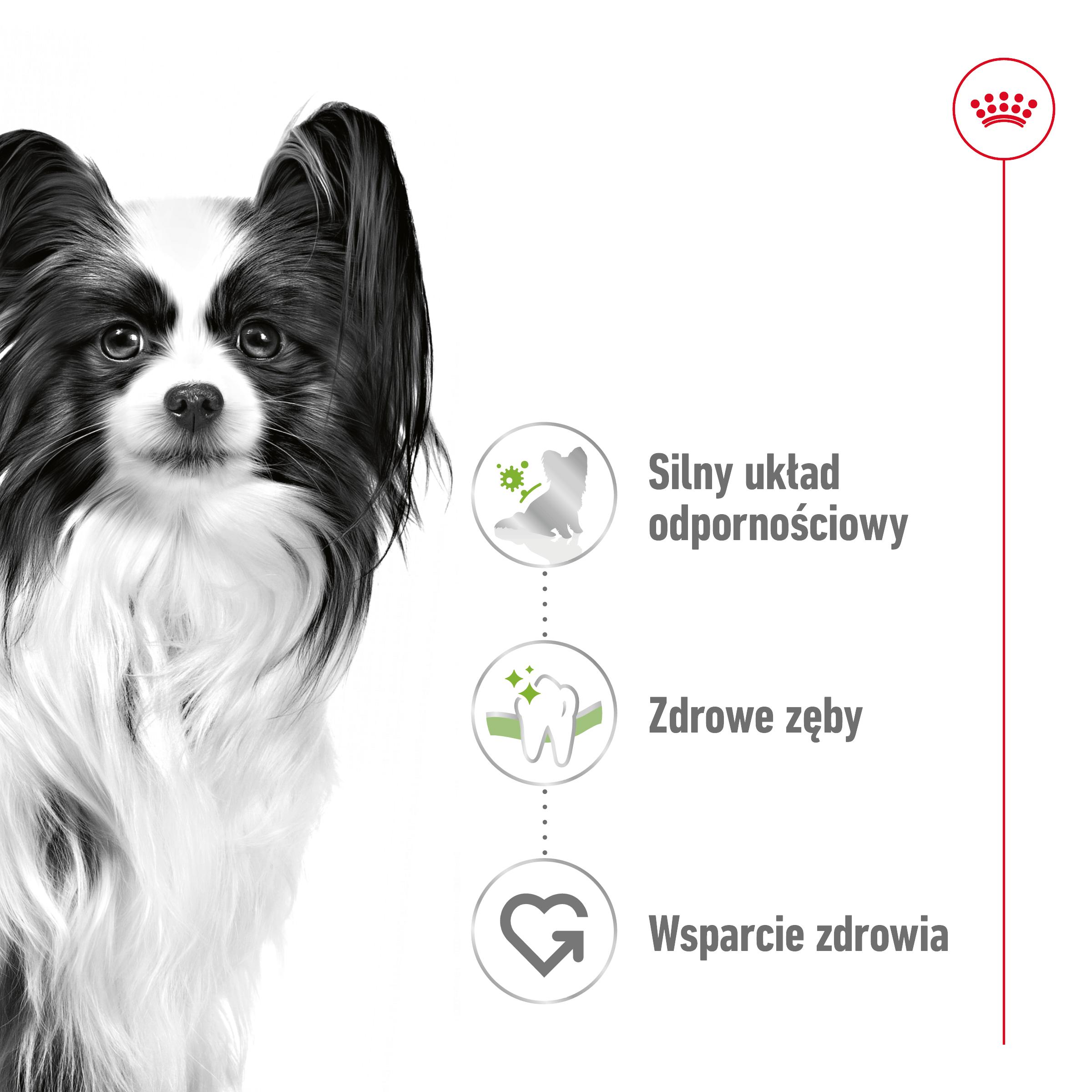 ROYAL CANIN® X-Small Adult karma sucha dla psów dorosłych ras miniaturowych - Image 2