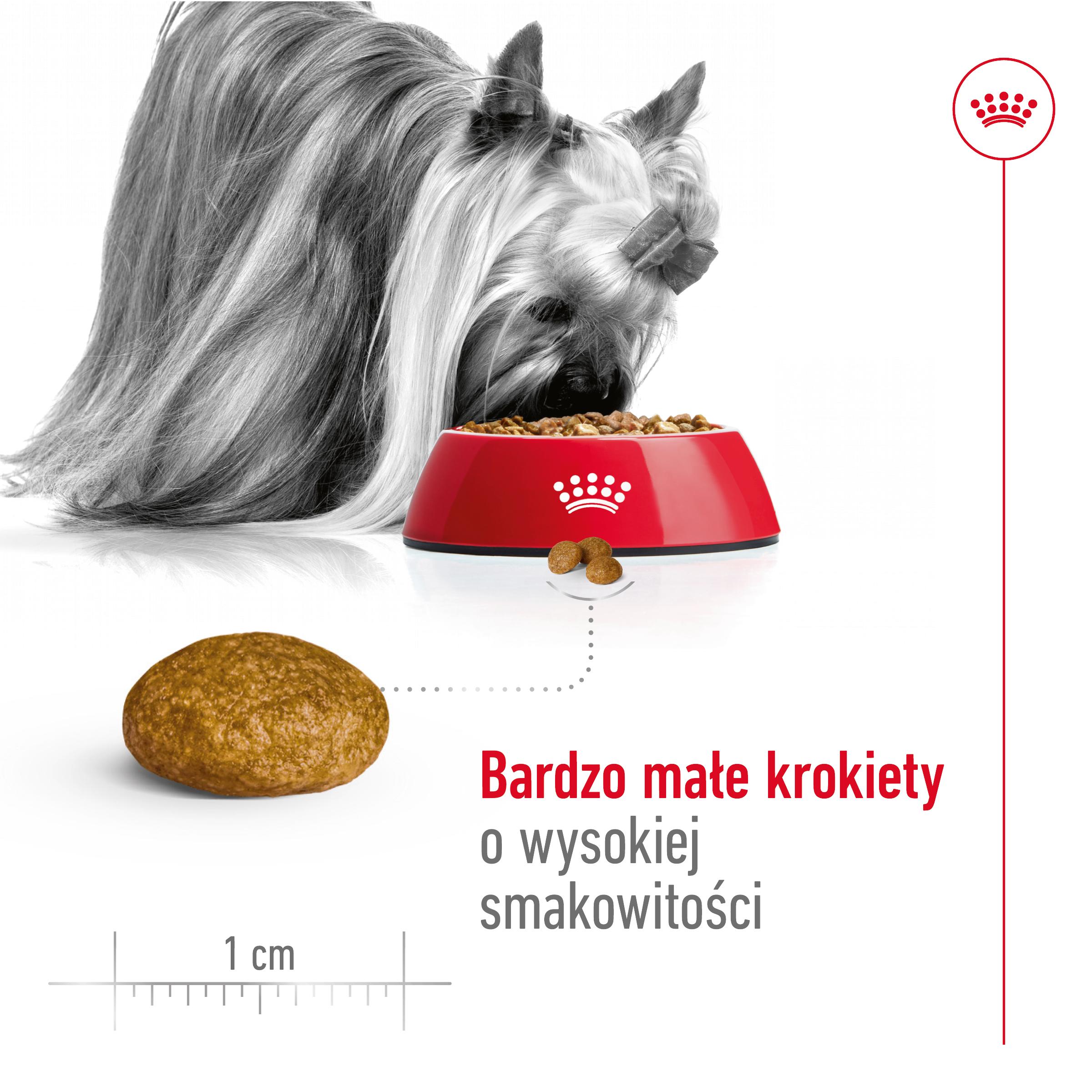 ROYAL CANIN® X-Small Adult karma sucha dla psów dorosłych ras miniaturowych - Image 4