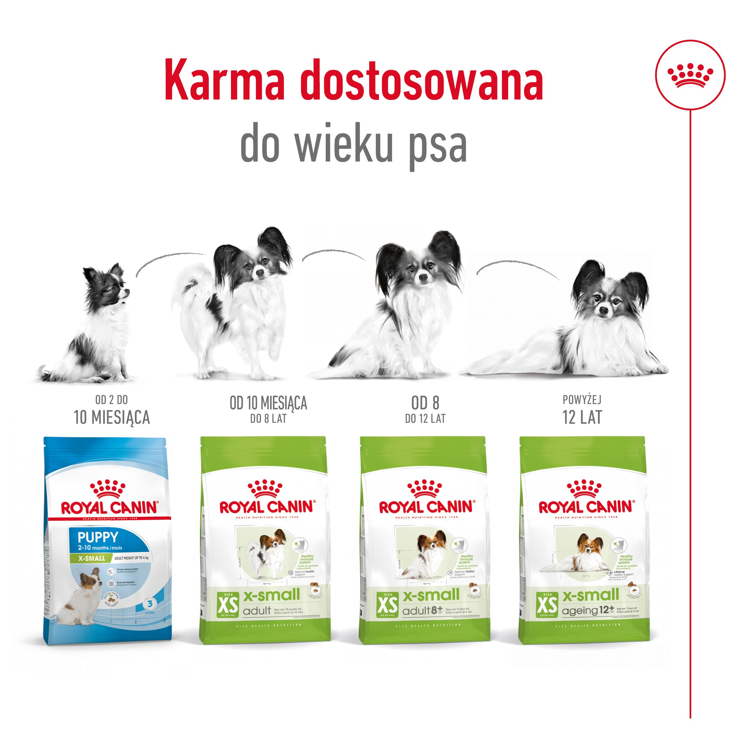 ROYAL CANIN® X-Small Adult karma sucha dla psów dorosłych ras miniaturowych - Image 5