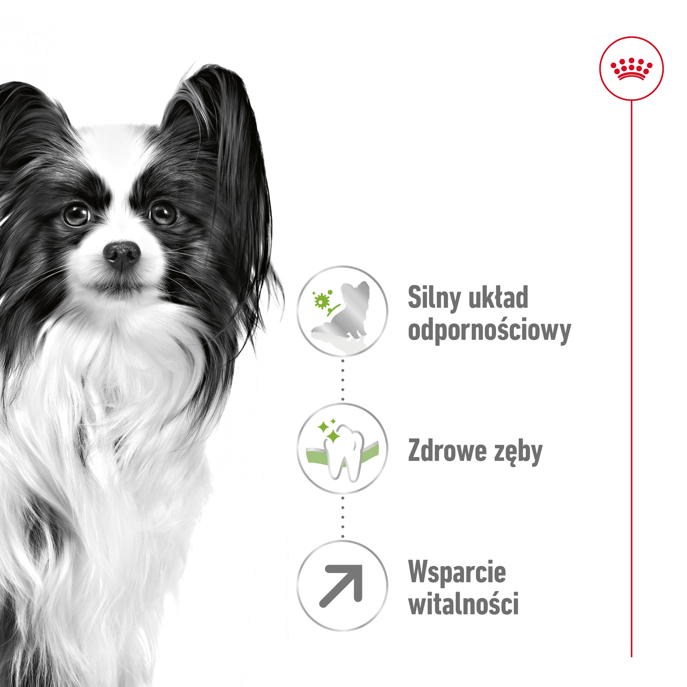ROYAL CANIN® X-Small Adult 8+ karma sucha dla psów dojrzałych powyżej 8 roku życia ras miniaturowych do 4 kg - Image 2