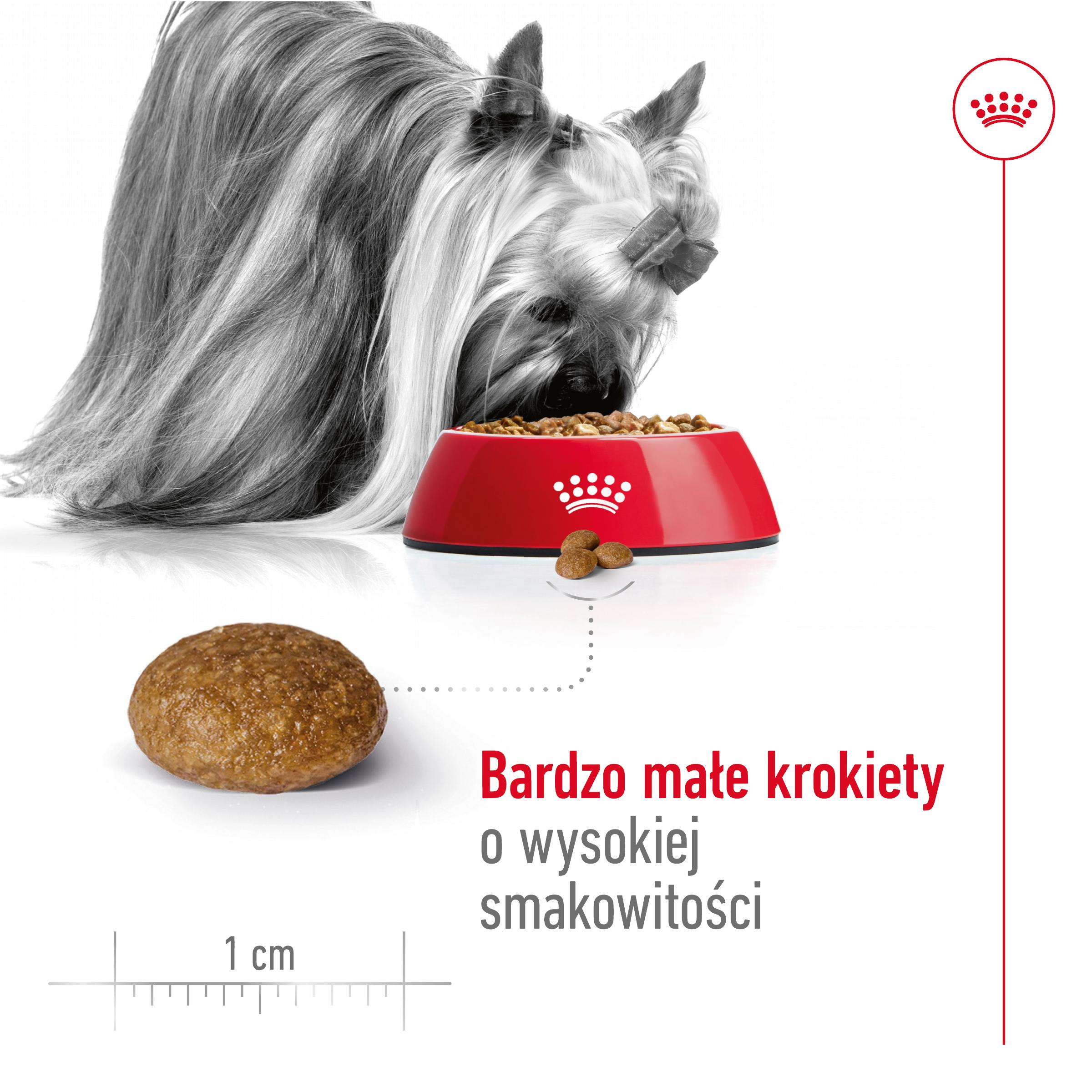 ROYAL CANIN® X-Small Adult 8+ karma sucha dla psów dojrzałych powyżej 8 roku życia ras miniaturowych do 4 kg - Image 4